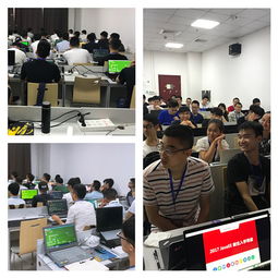 远方的地平线 黑马程序员技术交流社区——技术浪潮中的灯塔与港湾