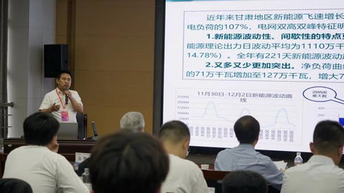 汇聚青年智慧，共筑新型电力系统未来——记16位青年专家技术交流活动